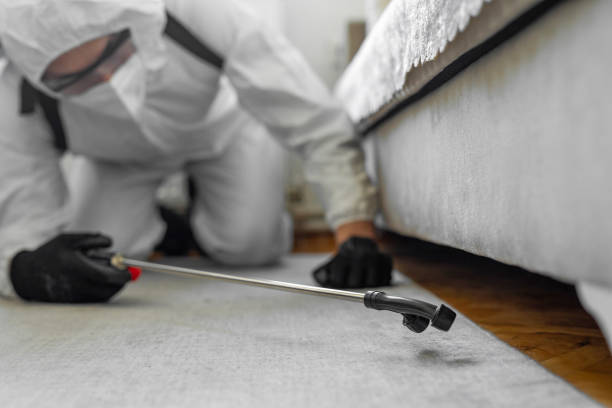 Professional Termite Control technician working in Madison, FL