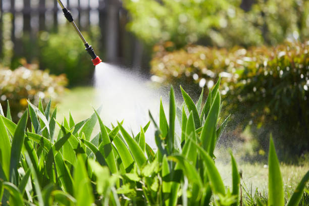 24/7 Emergency Termite Control experts in Madison, FL